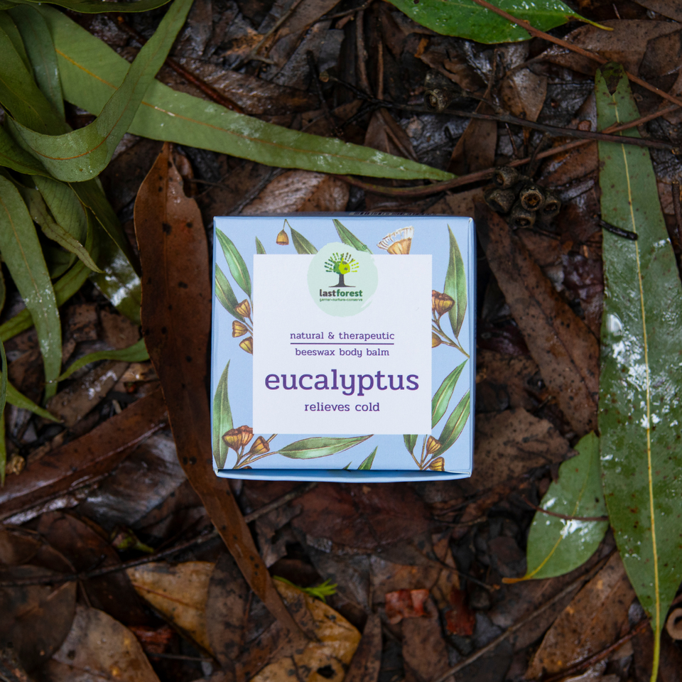 Body Balm - Eucalyptus