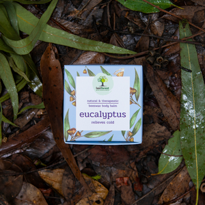 Body Balm - Eucalyptus