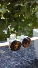 Uncut Tiger's Eye Stud Earrings