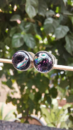 Murano Glass Stud Earrings