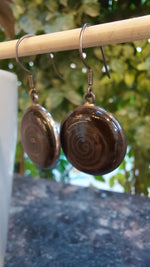 Fossil Stone Drop Earring