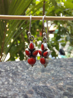 Red Coral Dangle Silver Earring