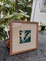Cyanotype Framed Print