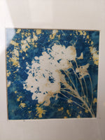 Cyanotype Framed Print