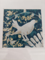 Cyanotype Framed Print