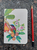 Softcover A6 Book