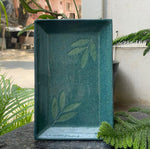 Celadon leaf trays - Rectangle
