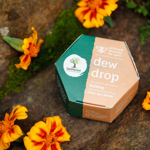 Honey Lip Balm