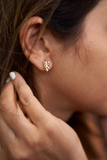 Palm brass studs