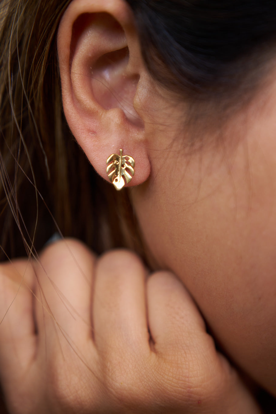 Palm brass studs