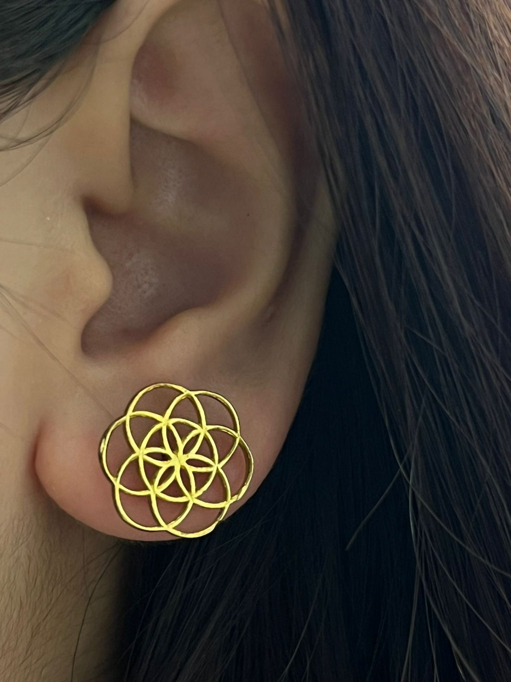 Brass earrings