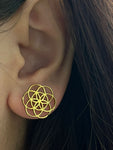 Brass earrings