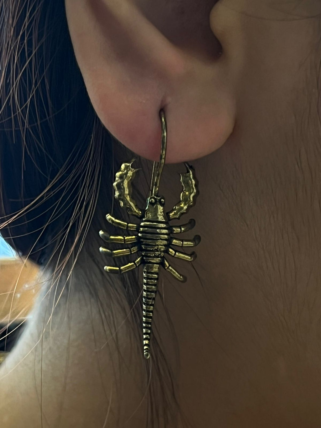 Brass earrings