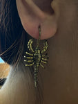 Brass earrings