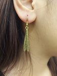 Wings earrings