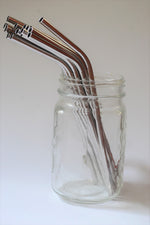 Stainless Steel Straw - Bent