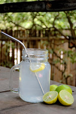 Stainless Steel Straw - Bent