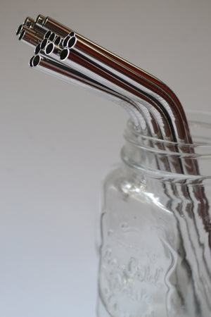 Stainless Steel Straw - Bent