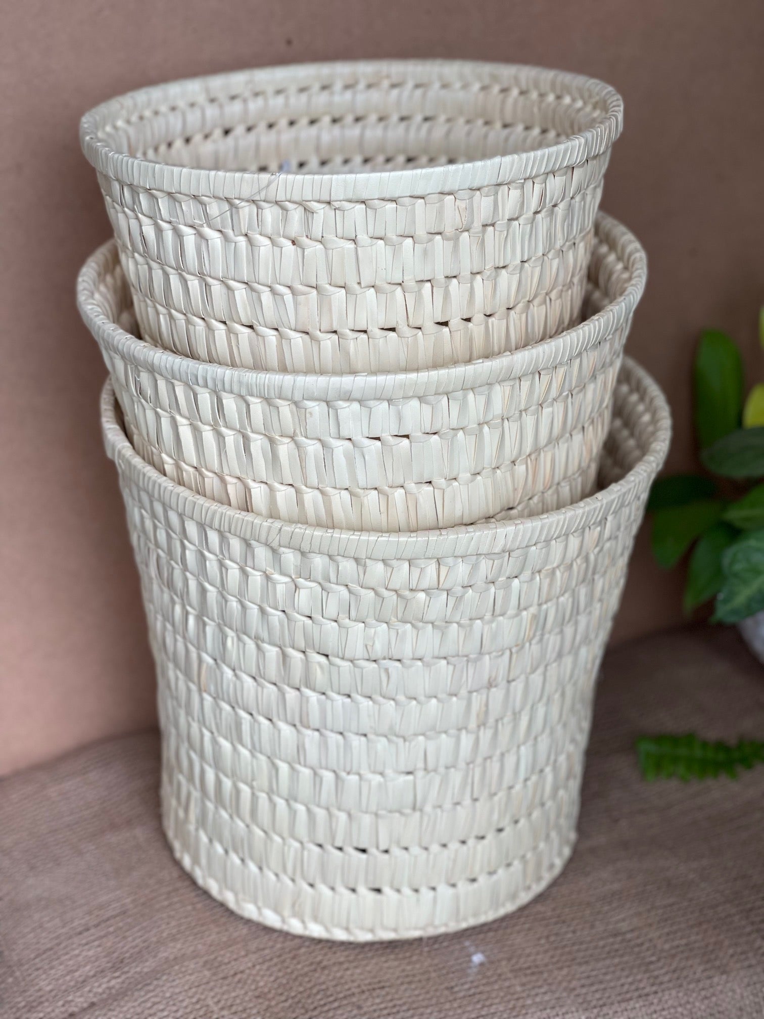 Palm Planter / Basket set of 3