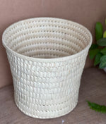 Palm Planter / Basket set of 3